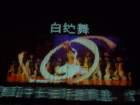 p1010562_small.jpg