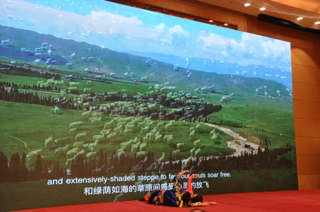 DSC_0011